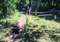 19427450_892544910885611_665638159_n