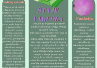 Органеле-реклама-3