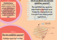 Органеле-реклама-5