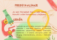 Organic vintage floral inspiring quote  poster