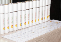 5_0032_IMG_1966.CR2_ 5_0032_IMG_1966.CR2_