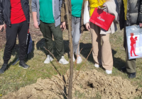 sg_ekosavest-3 sg_ekosavest-3