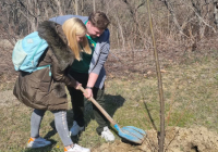 sg_ekosavest-4 sg_ekosavest-4