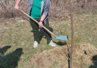 sg_ekosavest-5 sg_ekosavest-5