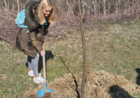 sg_ekosavest-7 sg_ekosavest-7