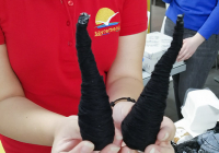 SG_NocVestica_Slika13