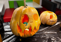 SG_NocVestica_Slika3