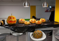 SG_NocVestica_Slika4