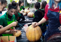 SG_NocVestica_Slika7