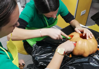 SG_NocVestica_Slika8