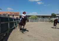 IMG_20190910_123608_BURST7