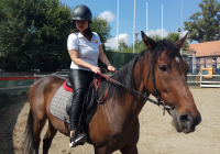 IMG_20190910_123733_BURST13