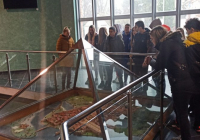 sg-carska-palata-2-1024x473 sg-carska-palata-2-1024x473