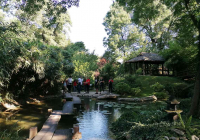 botanicka-5 botanicka-5