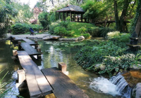 botanicka-7 botanicka-7