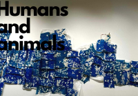 kiki-smit-galerija10