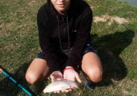 mali-dunav-10 mali-dunav-10