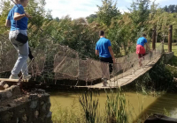 mali-dunav-11 mali-dunav-11