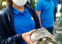 mali-dunav-13 mali-dunav-13