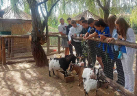 mali-dunav-20 mali-dunav-20