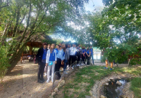 mali-dunav-6 mali-dunav-6