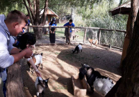 mali-dunav-8 mali-dunav-8