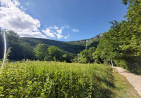 IMG-19c67a43ccfa379168e002e8f87e44a1-V