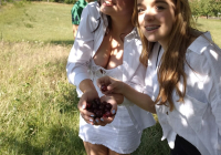 IMG-502932f50a8a42a8ab6273f3120cb235-V