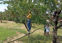 IMG-7404c7828a47df5438d749fe9c88073e-V