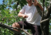 IMG-9d121992f3b0b8b70a8abb748b99cd4c-V