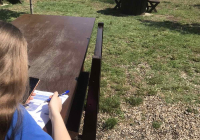 IMG-c2d39e8973e75784671c82c8129c6328-V