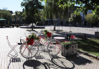 Galerija11_Terenska_nastava