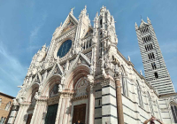 IMG_20221014_110121-1