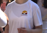 IMG-30d8b840a20d3c115e8a8de5c276ca73-V