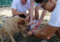 IMG-435a2a58597e072ff82e07aeb9cfcd85-V