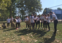 IMG-af8e17055f6708cddcc2ab564e13fb2f-V