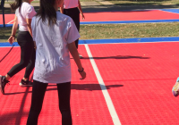 IMG-b019d3cbd338cda8955cf70877536a7e-V