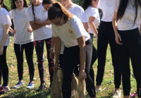 IMG-eaba2fad8f3e1c329a273c3edb9f9ace-V