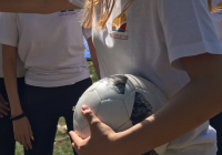 IMG-eecaa836085044a470fc6c0c56eace25-V