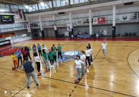 sg-vizura-11 sg-vizura-11
