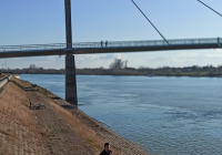 sg-most-svetog-irineja-7 sg-most-svetog-irineja-7