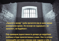 Софиа Бошковић, Проклета авлија