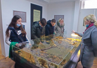 sg-muzej-srema-14-1024x472 sg-muzej-srema-14-1024x472