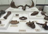 sg-muzej-srema-16-1024x472 sg-muzej-srema-16-1024x472