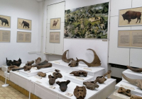 sg-muzej-srema-20-1024x658 sg-muzej-srema-20-1024x658