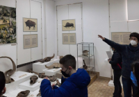 sg-muzej-srema-5 sg-muzej-srema-5