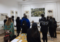 sg-muzej-srema-6 sg-muzej-srema-6