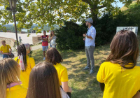 beograd-10 beograd-10