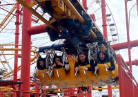 slike-galerija-vertikalne03