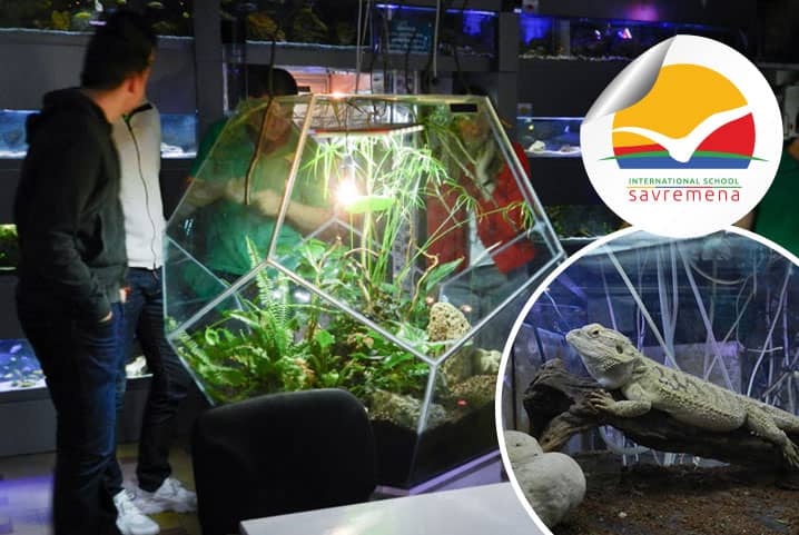 Unforgettable biology lesson at Public Aquarium and Tropicarium